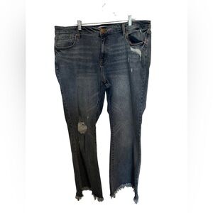 Lane Bryant Jeans‎ Size 22 Distressed